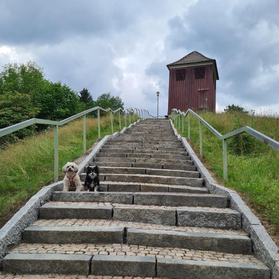 Harz Im Herzen Алтенау Екстериор снимка